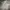 Y2K Hoody Pria gray photo 1