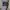Y2K Skater Formal shirt Pria silver white photo 3