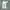 Marni Y2K Casual Shirt Wanita green gray photo 4