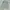 Marni Y2K Casual Shirt Wanita green gray photo 2