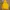 Dickies Sportswear Parka Pria yellow photo 5