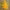 Dickies Sportswear Parka Pria yellow photo 1