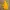 Dickies Sportswear Parka Pria Yellow