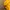 Dickies Sportswear Parka Pria yellow photo 6
