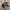Adidas Indie Casual Sneakers Pria white black photo 1