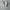 Nike Indie Futurist Sneakers Wanita white photo 5