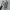 Asics Sportswear Minimalist Sneakers Pria multicolor photo 3
