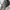 Minimalist Futurist Bomber jacket Wanita black photo 5