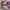 Adidas Sportswear Casual Sneakers Pria pink black photo 2