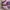 Adidas Sportswear Casual Sneakers Pria Pink Black