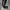 Adidas Sportswear Sweatpants & Joggers Pria black photo 1