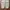Uniqlo Streetwear Gorpcore Tracksuit Pria cream photo 5