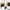 Adidas Sportswear Casual Sneakers Pria white black photo 1