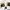 Adidas Sportswear Casual Sneakers Pria White Black