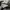 New Balance Sportswear Pria white photo 4