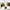 Adidas Sportswear Casual Sneakers Pria white black photo 1