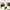 Adidas Sportswear Casual Sneakers Pria White Black