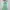 Vintage Luxury Evening Dress Wanita Green