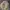 Japanese brand Streetwear Y2K Fur coat Wanita tan brown photo 2