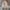 Japanese brand Streetwear Y2K Fur coat Wanita tan brown photo 1