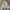 Japanese Brand Streetwear Y2K Fur Coat Wanita Tan Brown