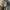 Japanese brand Streetwear Y2K Fur coat Wanita tan brown photo 5