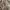 Japanese brand Streetwear Y2K Fur coat Wanita tan brown photo 3