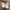 Nike Streetwear Y2K Sneakers Pria white cream photo 4