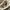Nike Streetwear Y2K Sneakers Pria white cream photo 6