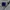 Y2K Skater Formal shirt Pria white black photo 3