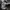Nike Casual Sneakers Pria white photo 4