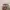 Nike Sportswear Minimalist Hat Pria white photo 2