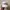 Nike Sportswear Minimalist Hat Pria white photo 1