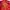 Versace Luxury Windbreaker Pria red photo 5
