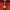 Versace Luxury Windbreaker Pria red photo 8