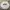 Vintage Streetwear Sweatshirt Pria gray photo 1
