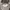 Vintage Streetwear Hat Pria tan cream photo 6