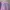 Skater Sweater Wanita purple photo 2