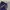 The North Face Biker Sportswear Casual trouser Wanita purple photo 7