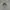 Kangol Streetwear Casual Hat Pria gray photo 5