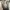 New Balance Streetwear Y2K Sneakers Pria white gray photo 7