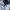 Biker Puffer jacket Pria white blue photo 3