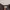 Covernat Vintage Streetwear T-shirt Pria tan photo 4