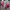Converse Skater Sneakers Pria red photo 3