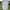 Nike Sportswear Minimalist Jersey Pria white photo 4