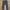 Gramicci Casual Sweatpants & Joggers Pria gray photo 1