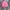 The North Face Sportswear Coquette Hat Wanita pink photo 4