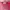 The North Face Sportswear Coquette Hat Wanita pink photo 7