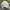 BOY London Streetwear Luxury Hat Pria white pink photo 4