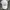 BOY London Streetwear Luxury Hat Pria white pink photo 2